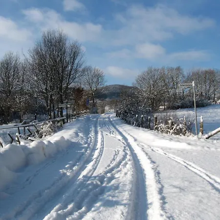 Landgasthof Zum Adler 3* Medebach