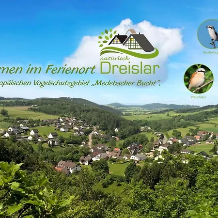 Landgasthof Zum Adler 3* Medebach