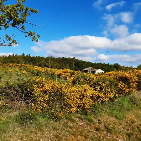 Landgasthof Zum Adler Penzion
