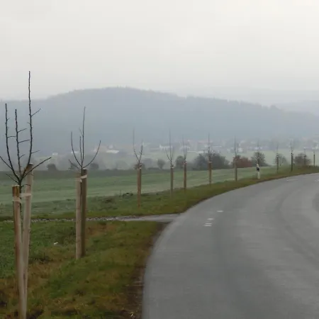 Landgasthof Zum Adler Medebach