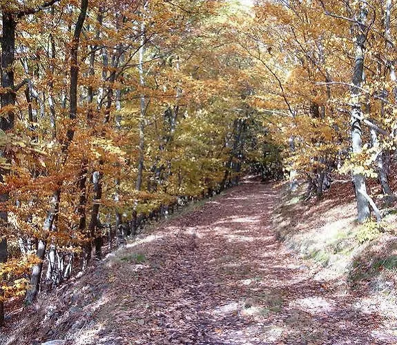 Landgasthof Zum Adler Medebach