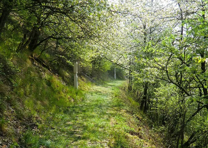 Landgasthof Zum Adler Medebach