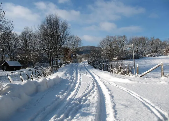 Landgasthof Zum Adler 3* Medebach