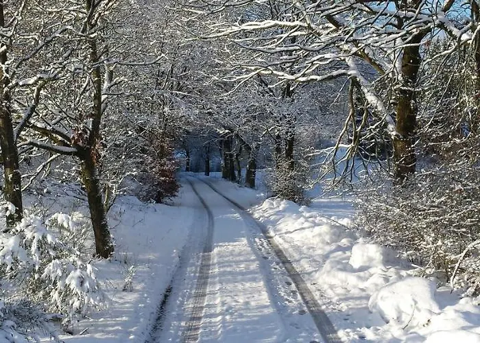 Landgasthof Zum Adler Affittacamere Medebach