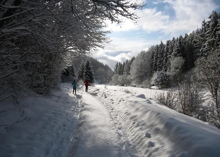 Landgasthof Zum Adler 3*