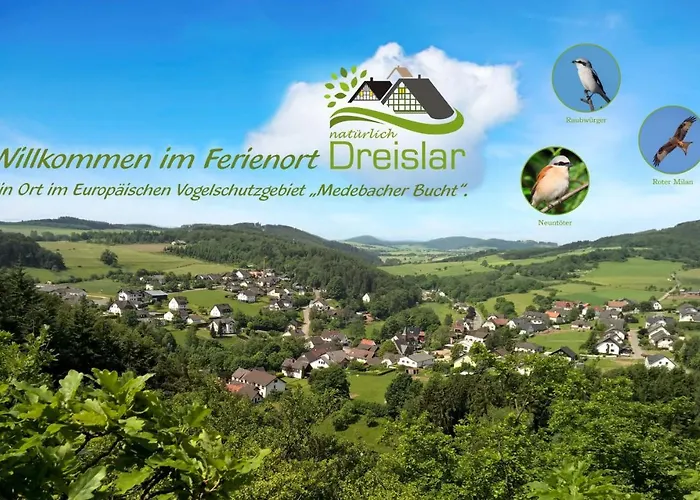 Landgasthof Zum Adler 3* Medebach