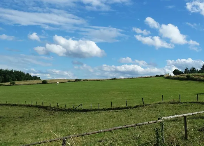 Landgasthof Zum Adler 3* Medebach