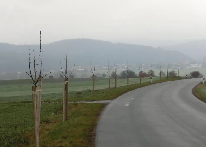 Landgasthof Zum Adler Medebach
